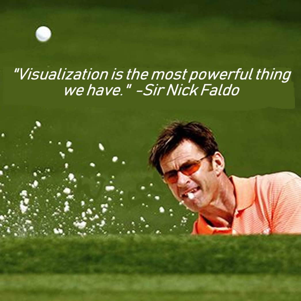 Faldo Visualization Cleaned II
